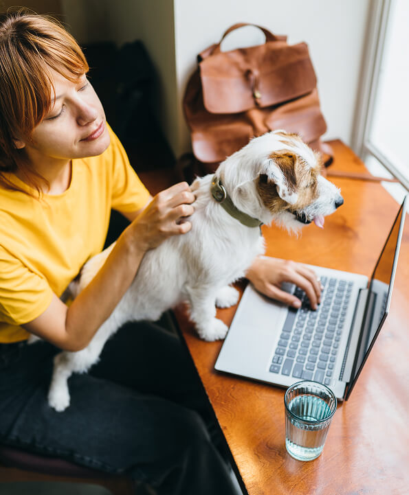 Person with a dog on their lap, using a laptop at a desk